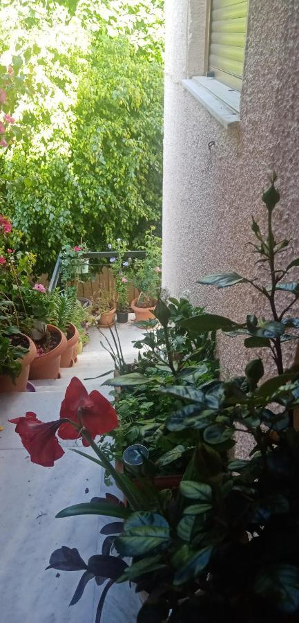 Aegina'S Flowers House Zewnętrze zdjęcie