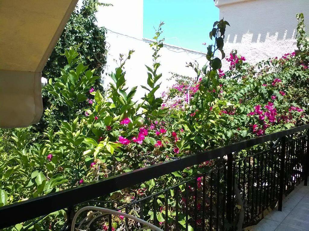 Aegina'S Flowers House Zewnętrze zdjęcie