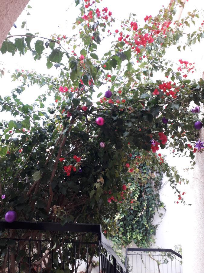 Aegina'S Flowers House Zewnętrze zdjęcie