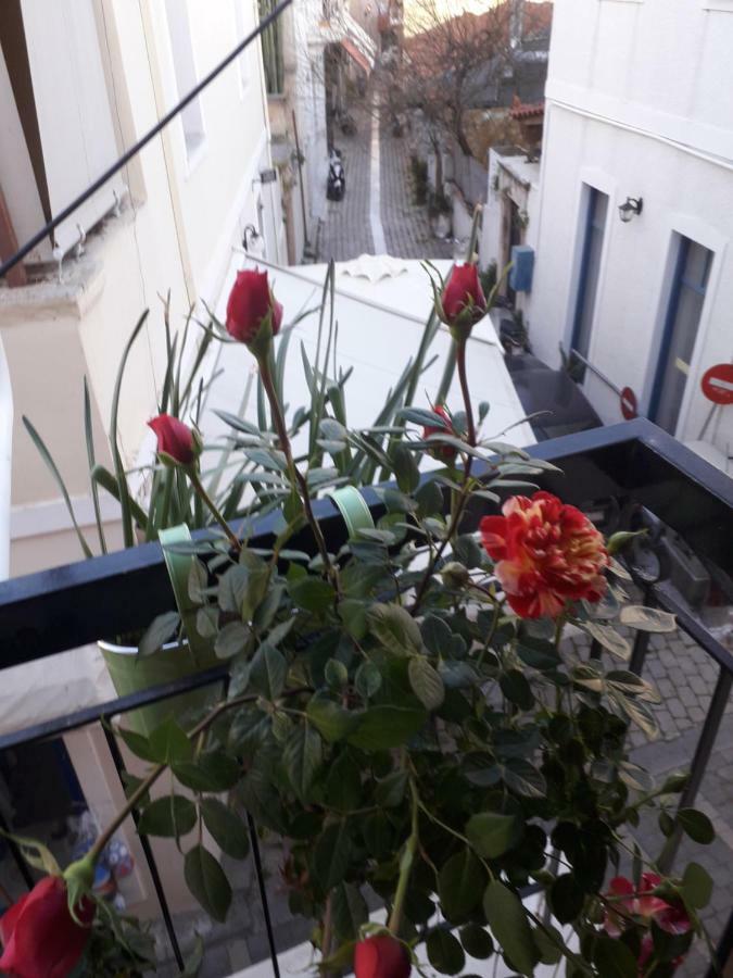 Aegina'S Flowers House Zewnętrze zdjęcie