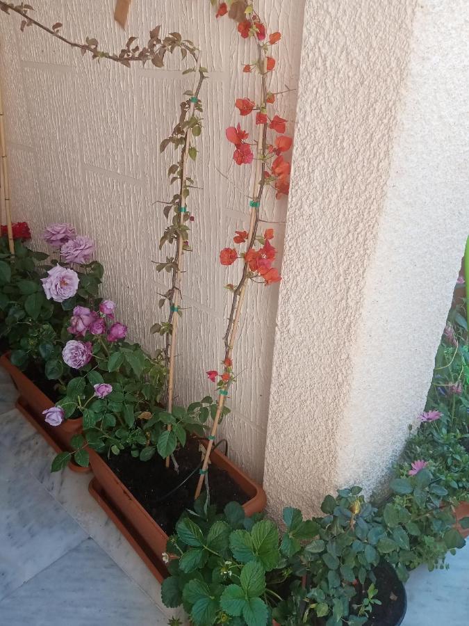 Aegina'S Flowers House Zewnętrze zdjęcie